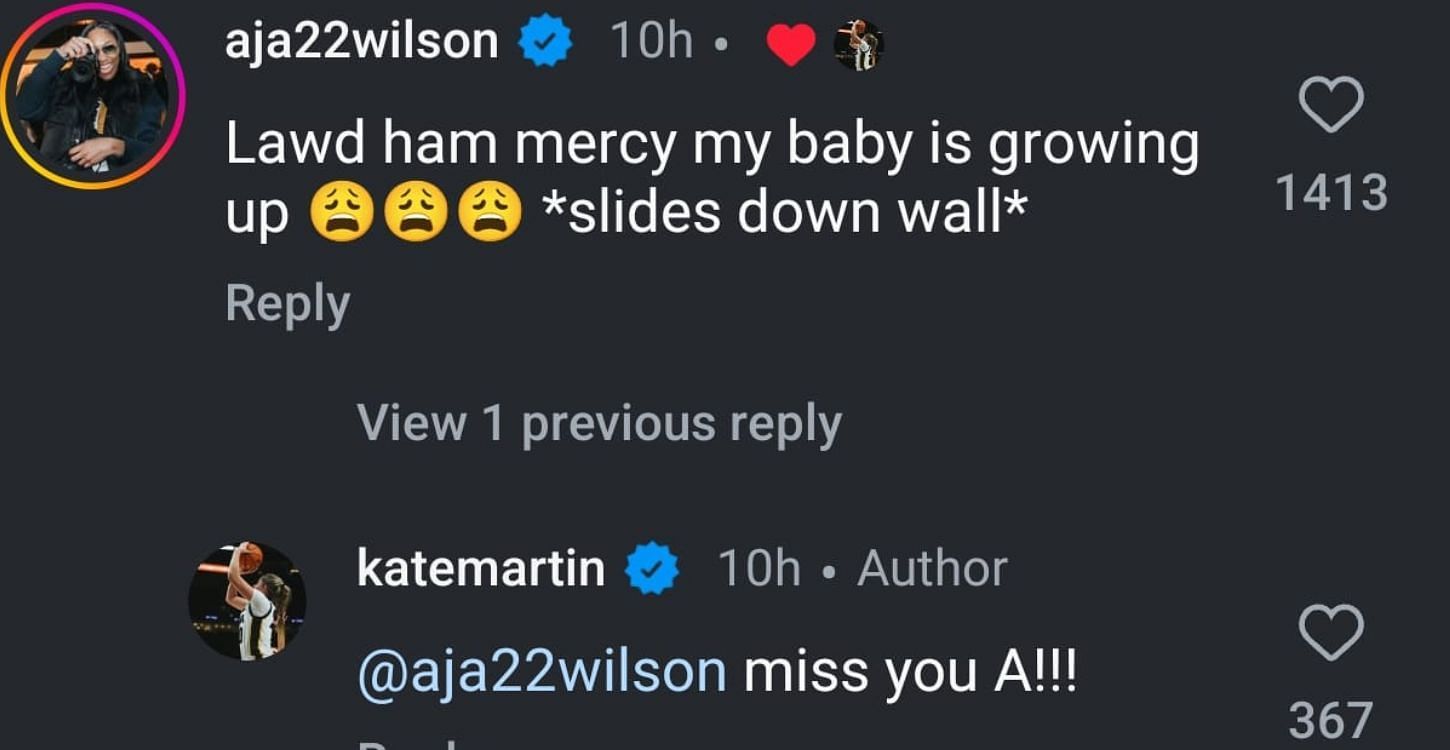 Martin's reply to Wilson
